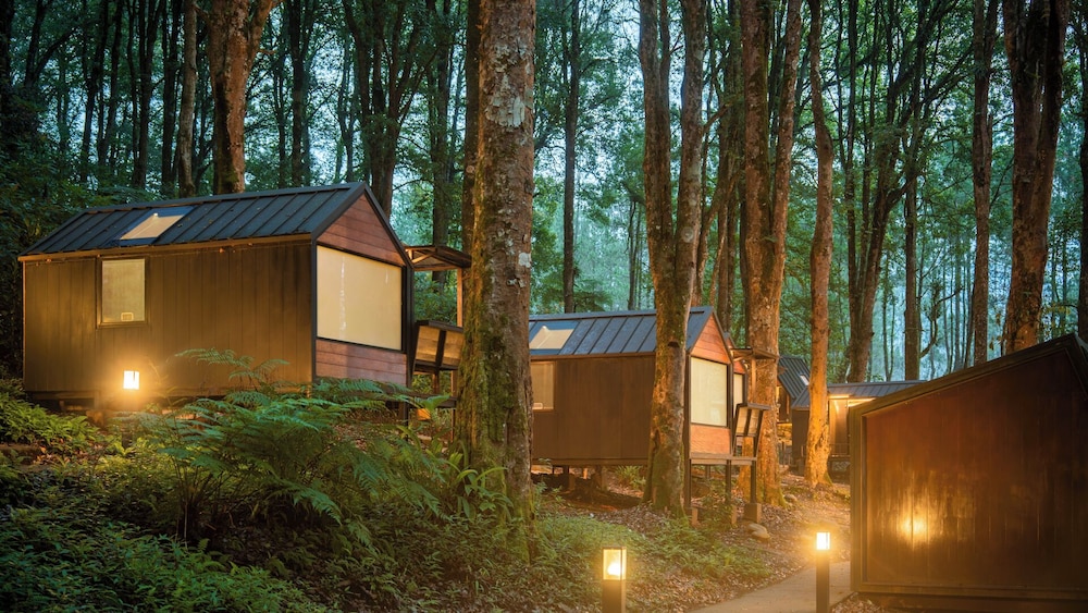 Bobocabin Ranca Upas 43/49