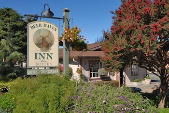 Deer Haven Inn 6/28