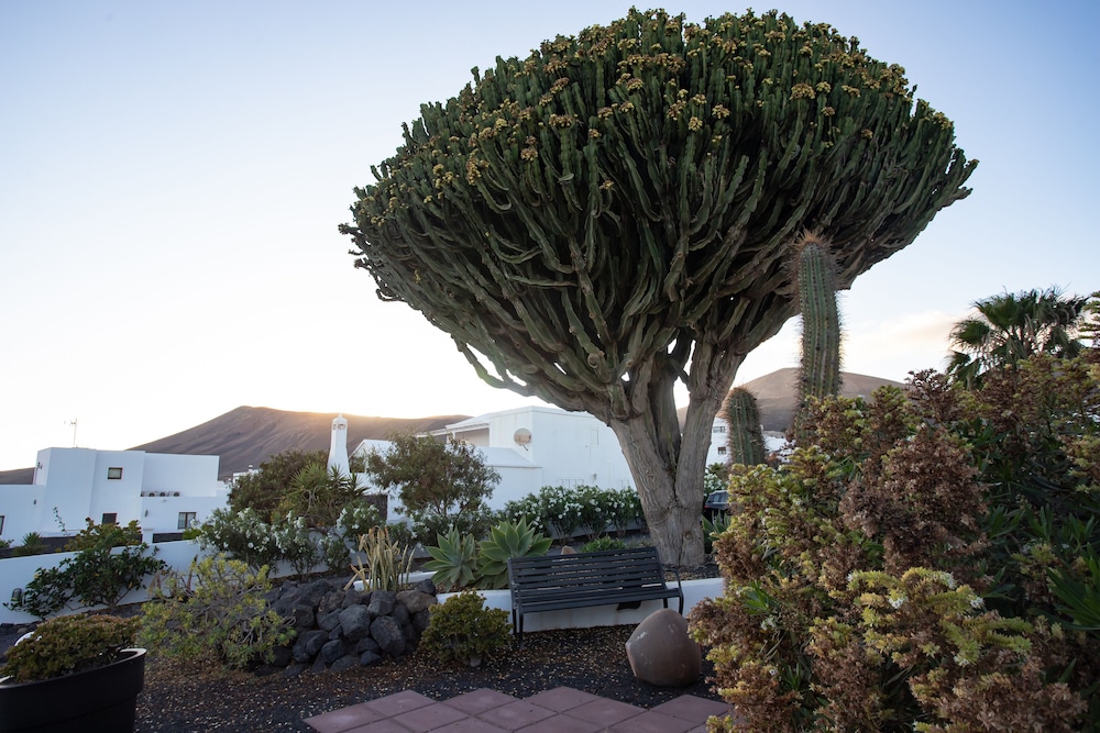 5 Suites Lanzarote 42/50