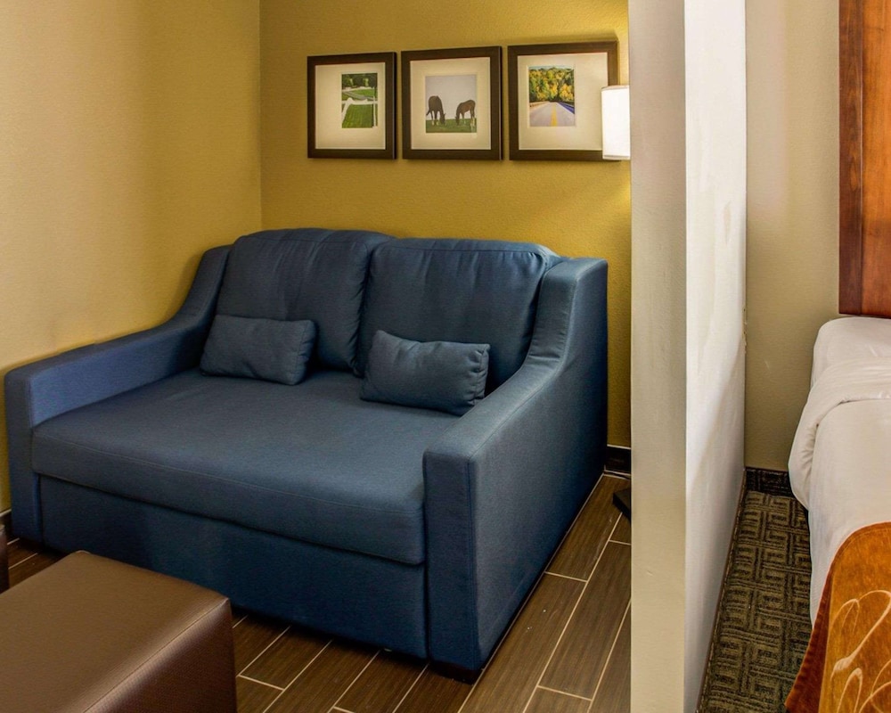 Comfort Suites Georgetown, KY 35/44