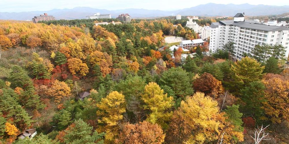 Hotel New Koyo 10/27
