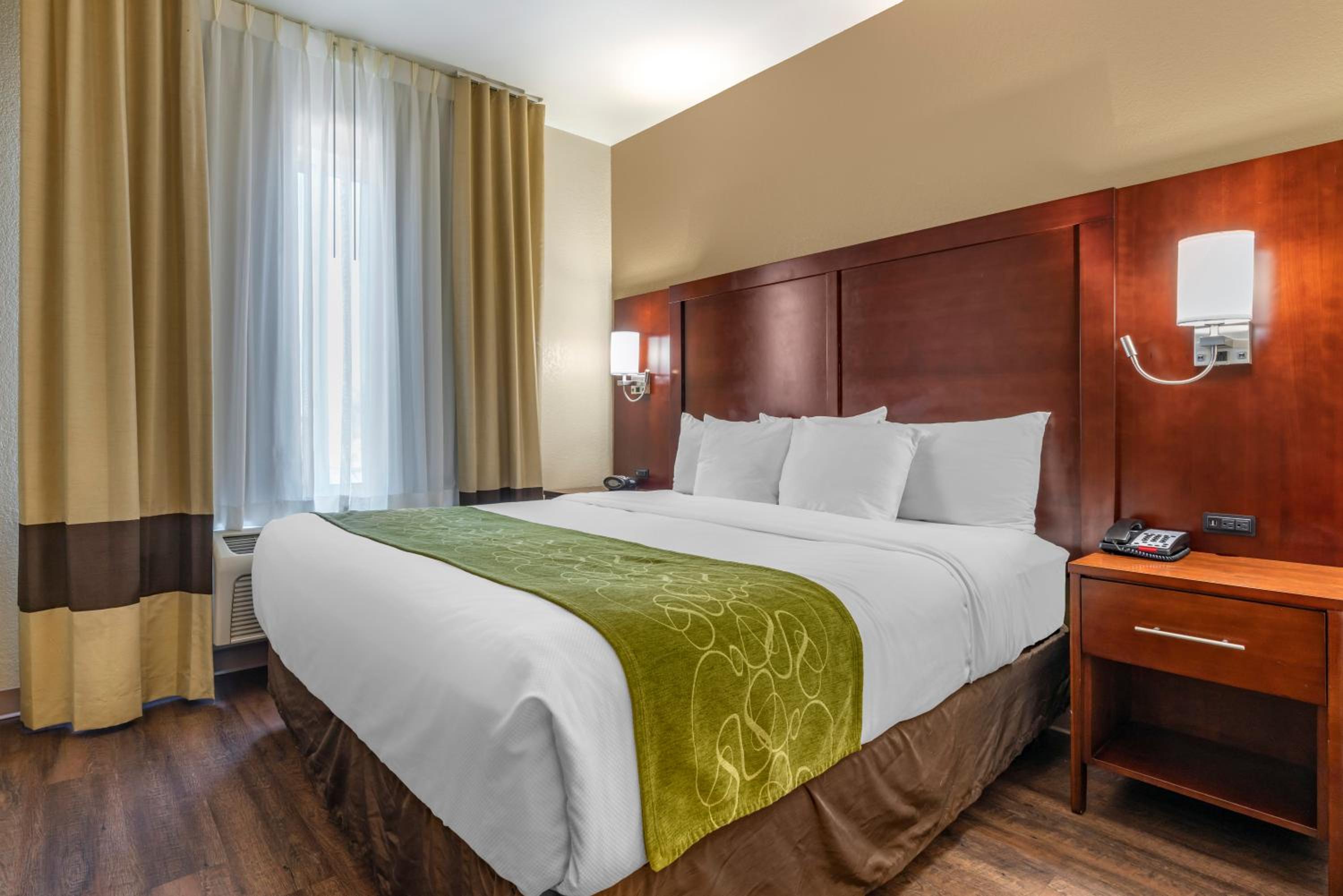 Suite, King Bed, Sofa, Pet Friendly