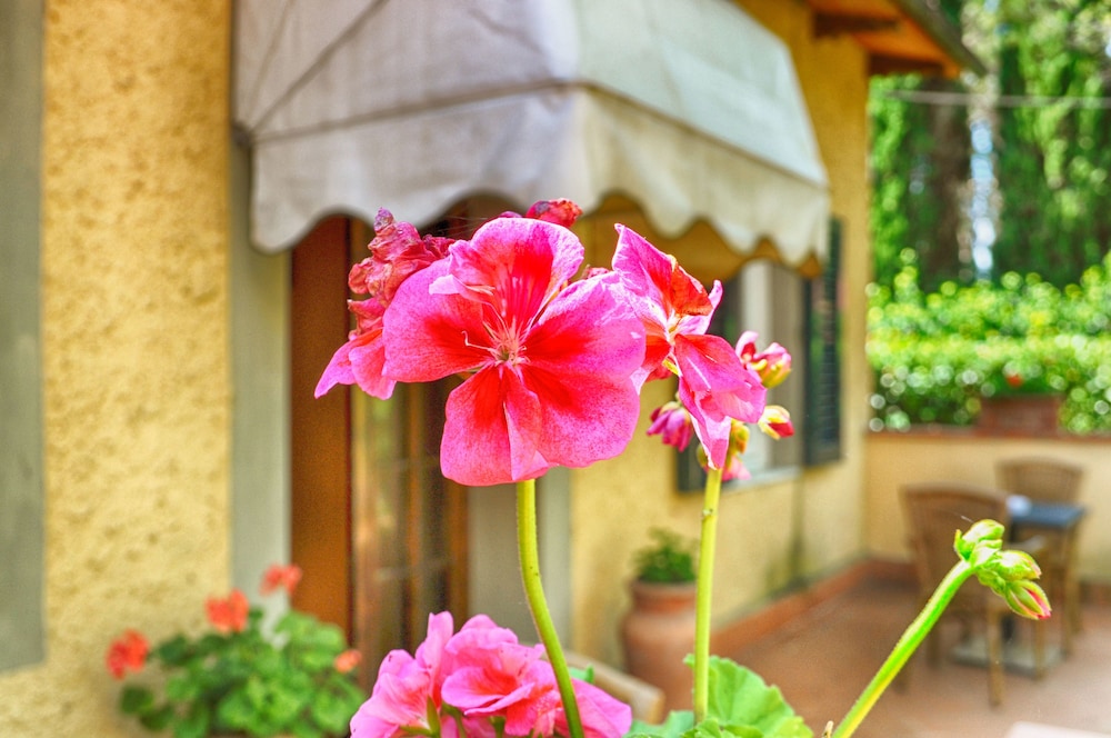 Cascina De Fagiolari photo2