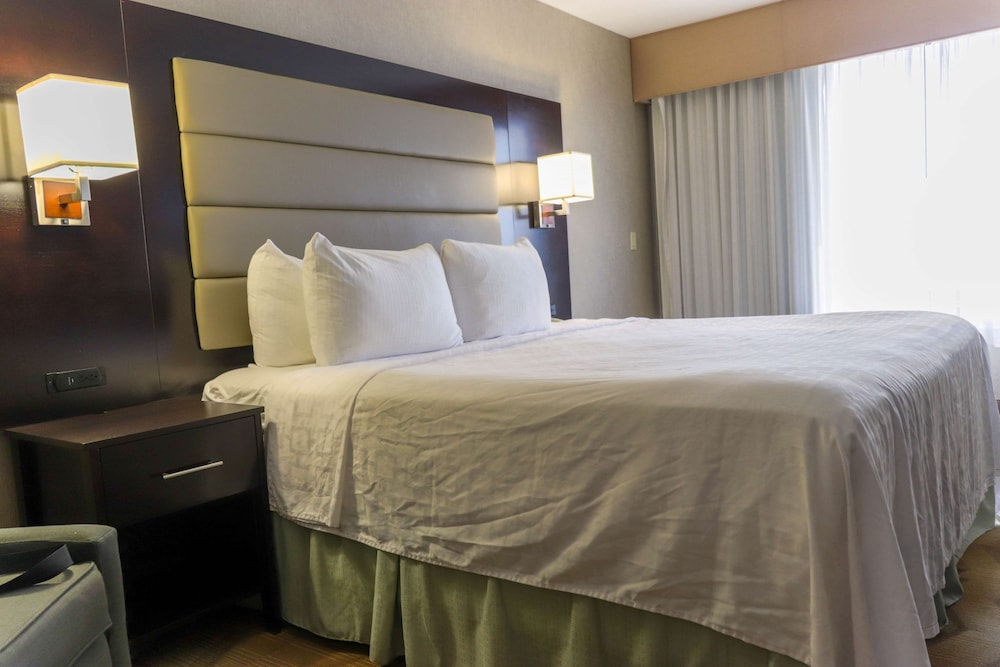 Silverdale Beach Hotel 14/50