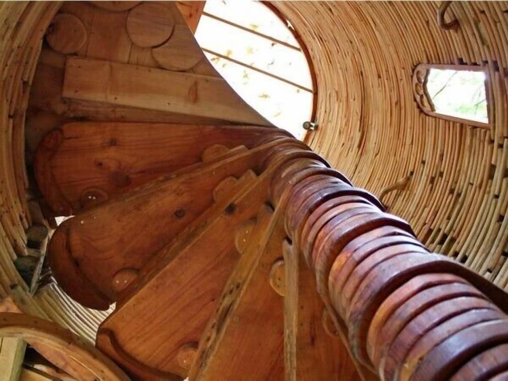 Sycamore Avenue Treehouses 15/50