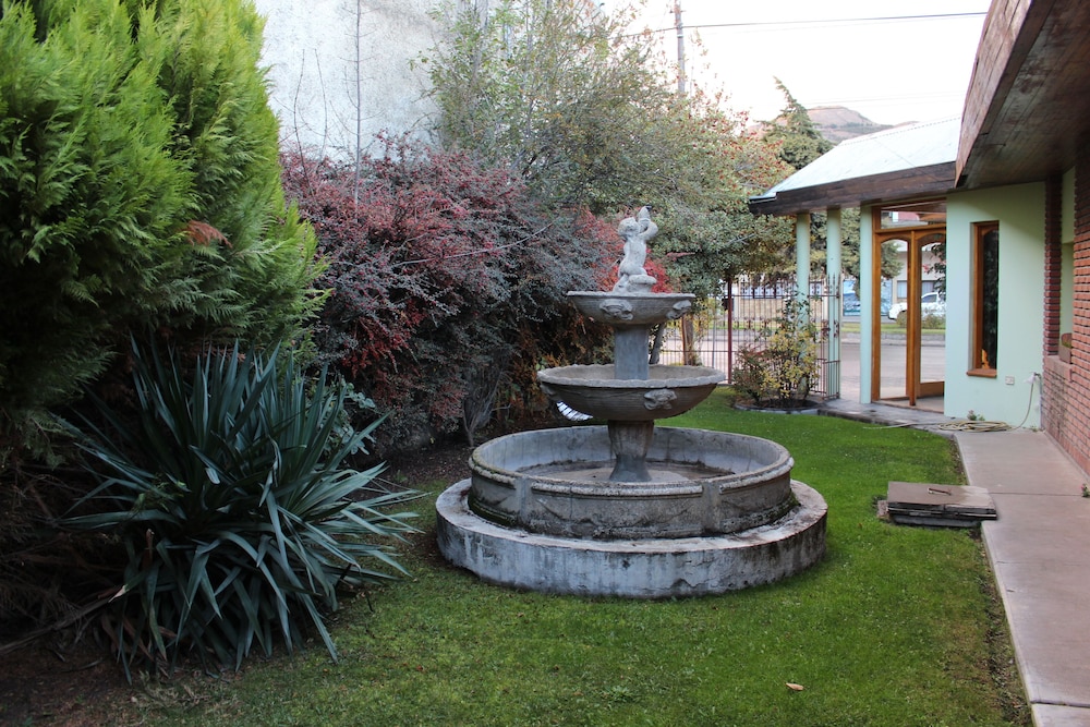 HOSTERIA ANGELINA 16/20