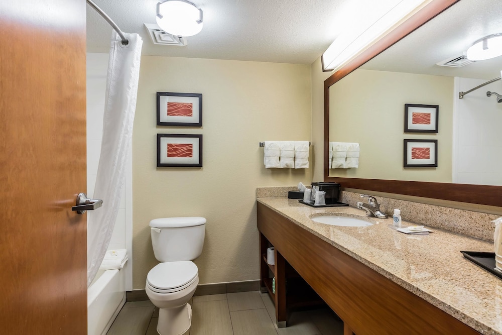 Comfort Inn And Suites Airport American Way 16/42