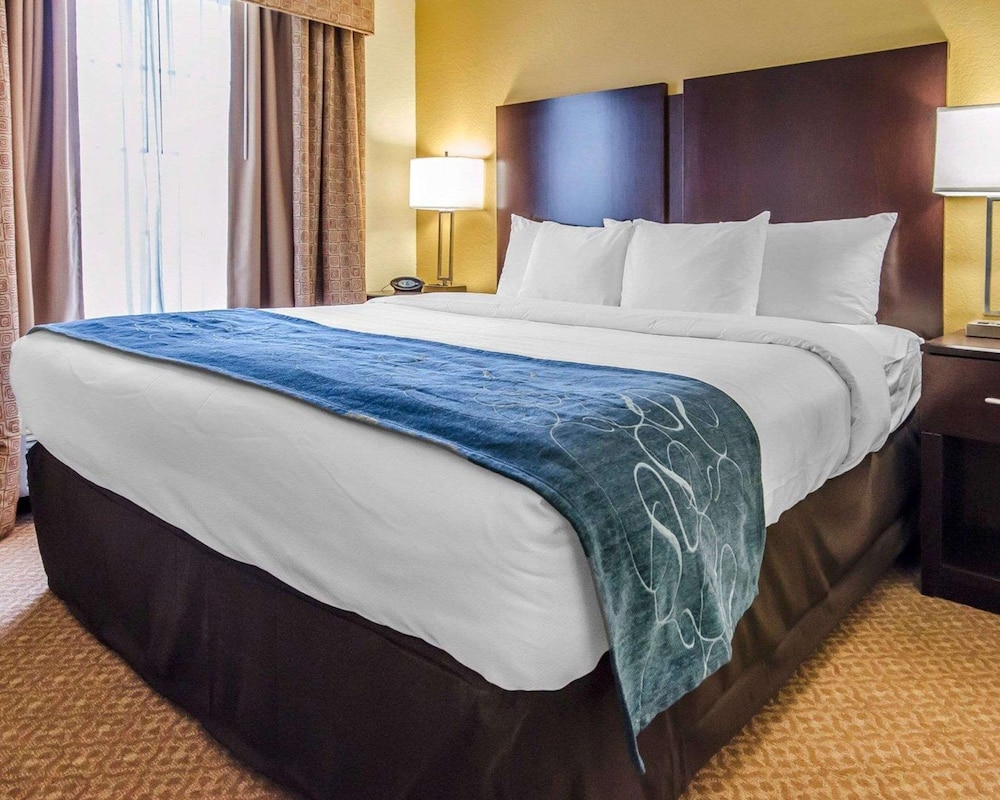 Suite, King Bed, Sofa, Comfort Suites Elizabethtown 2/6