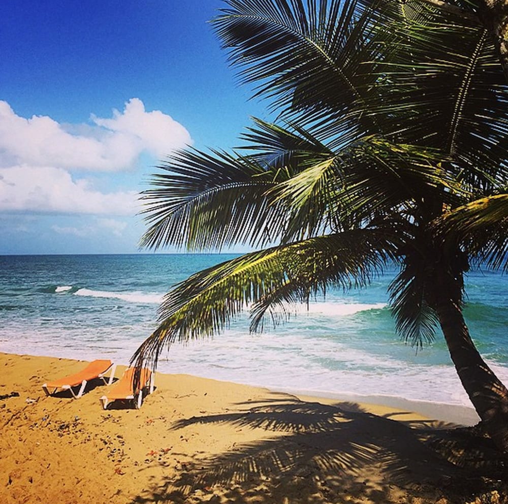 Cabarete Maravilla Eco Lodge Beach 64/78