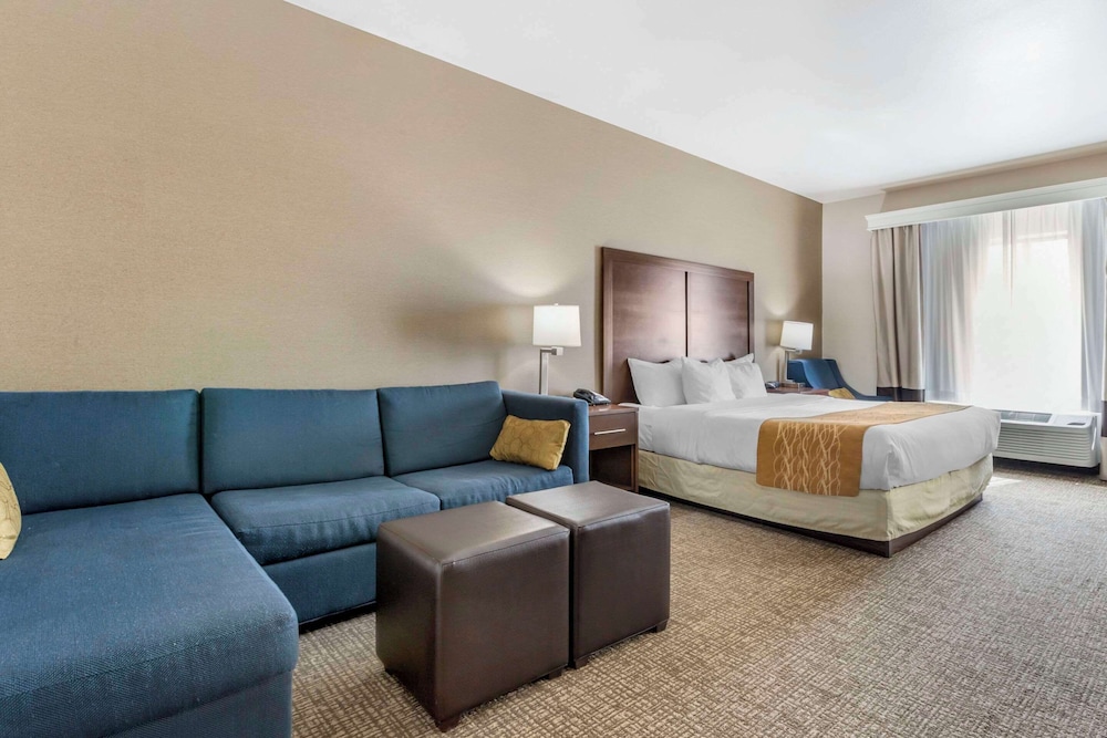 Room, King Bed, Accessible, Comfort Inn & Suites Mitchell I-90 2/4