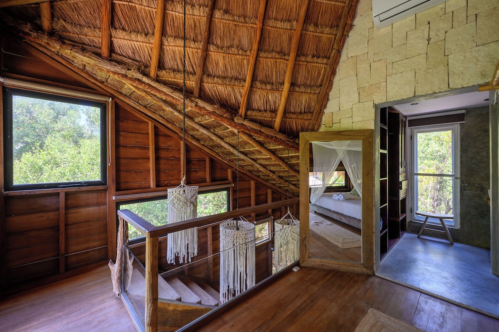Vida Silvestre Tulum 6/50
