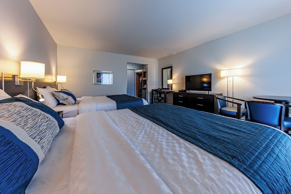 Hotel Motel Castel de la Mer 20/35