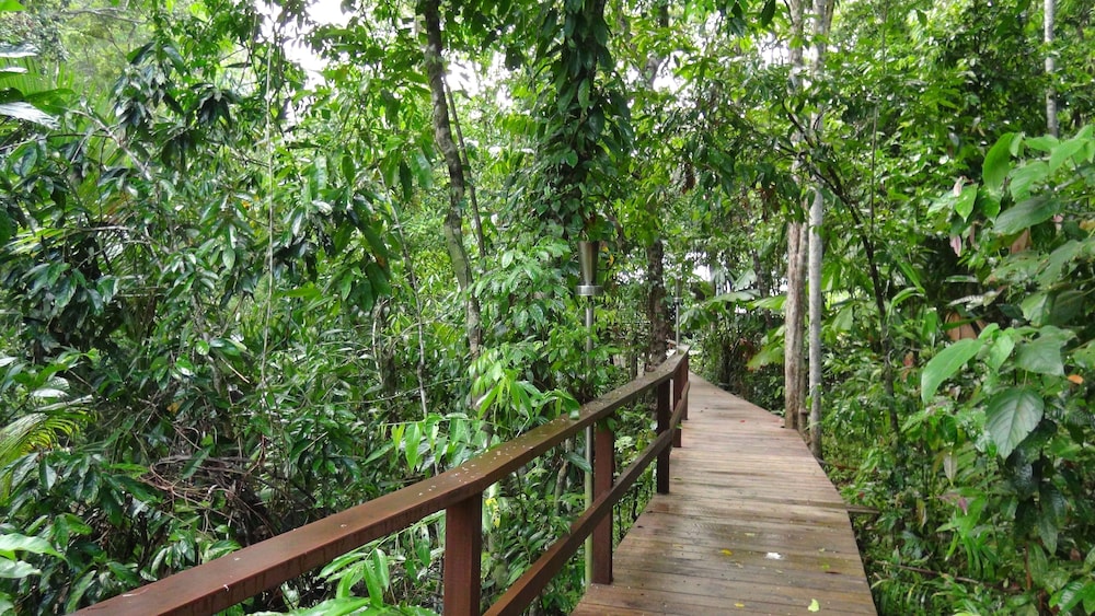 Heritage Lodge In the Daintree 42/53