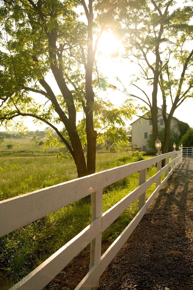 L Auberge Provencale Bed and Breakfast 39/51