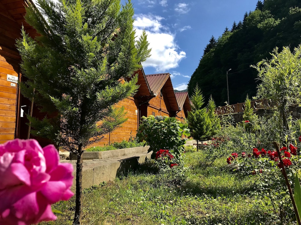 Tuva Villa's 45/50