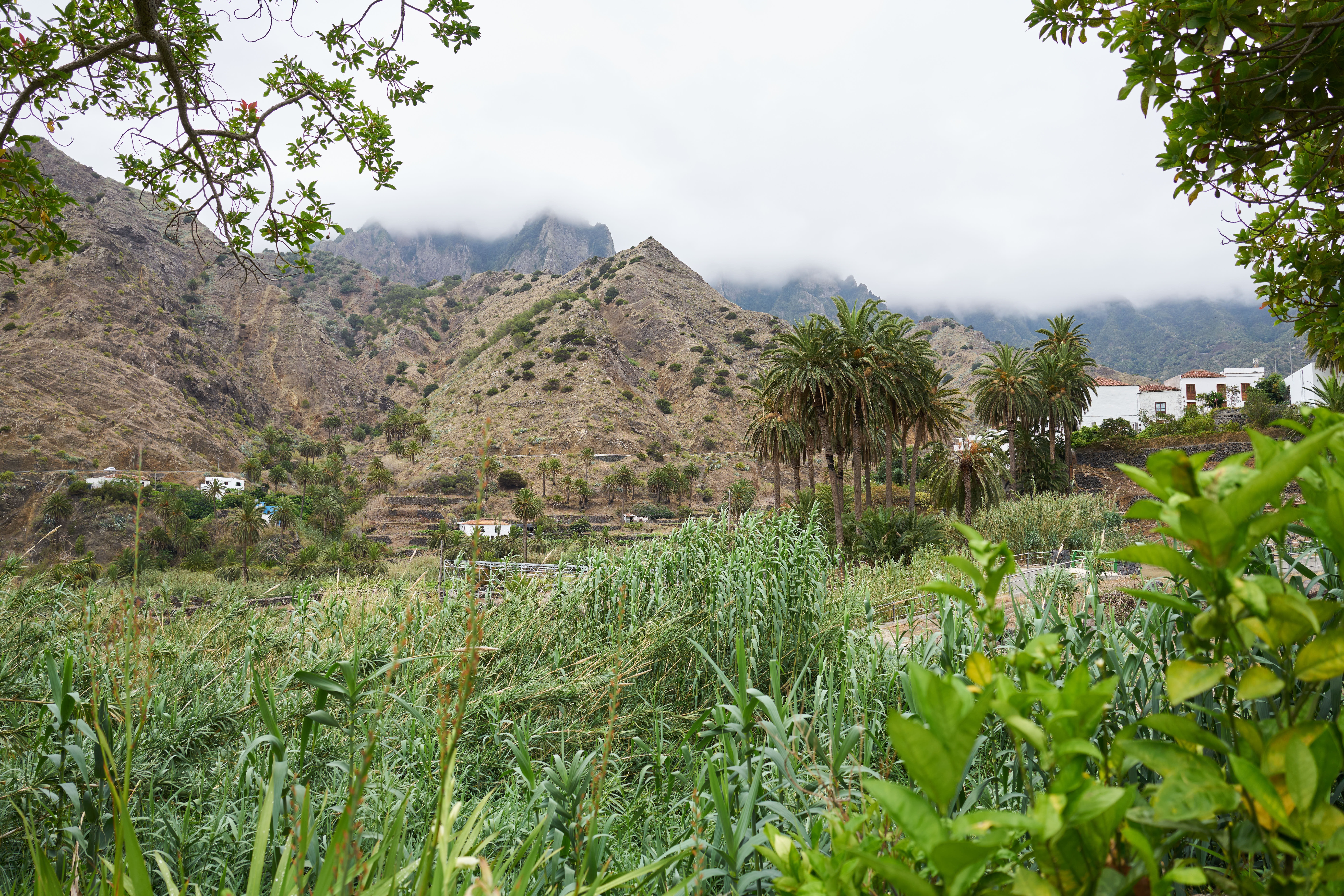 Finca Pinero 20/29