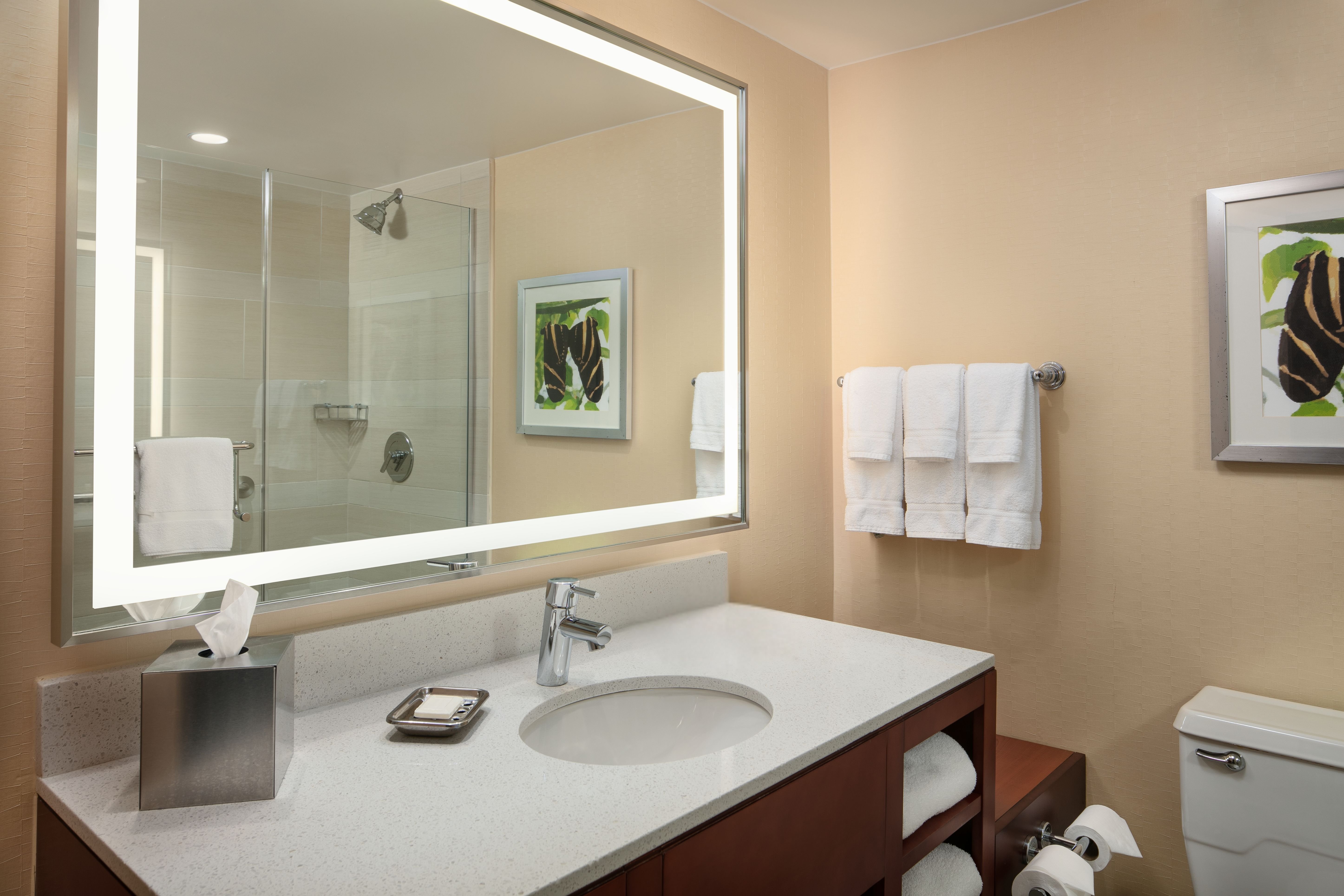 غرفة بسرير كينج بإطلالة في الطابق العلوي، Holiday Inn Austin Town Lake Hotel 3/4