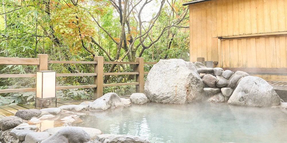 Hotel Seiryuso 24/46