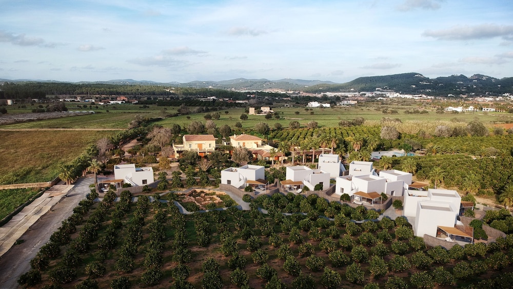 Can Jaume 44/50