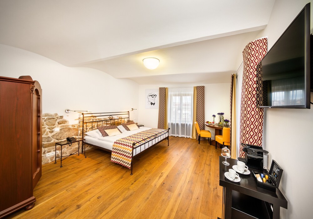 Bellevue Hotel Karlov 23/66