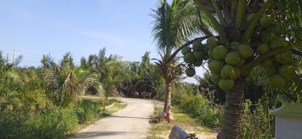 Ferry Homestay 30/50