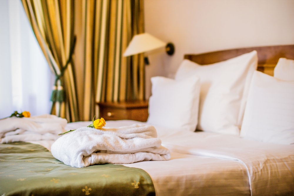 Hotel Dvorak 31/50