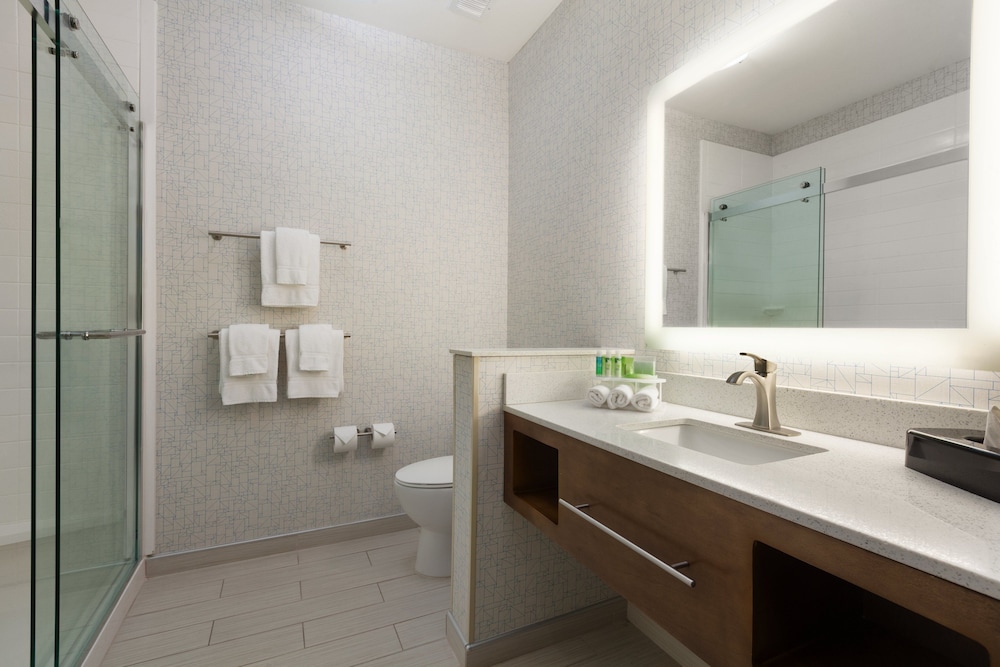 Holiday Inn Express And Suites Edinburg Mcallen Area 17/51