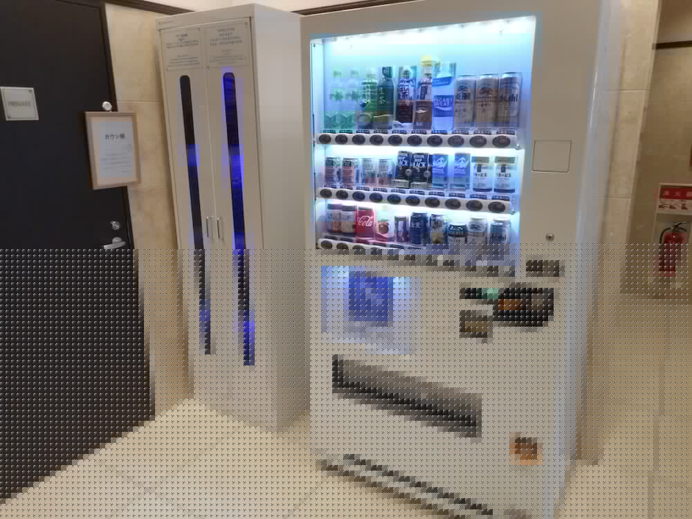 Toyoko Inn Kintetsu Nara Ekimae 24/60