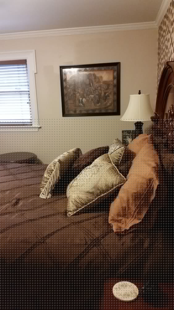 Shalom House Bed and Breakfast 8/27