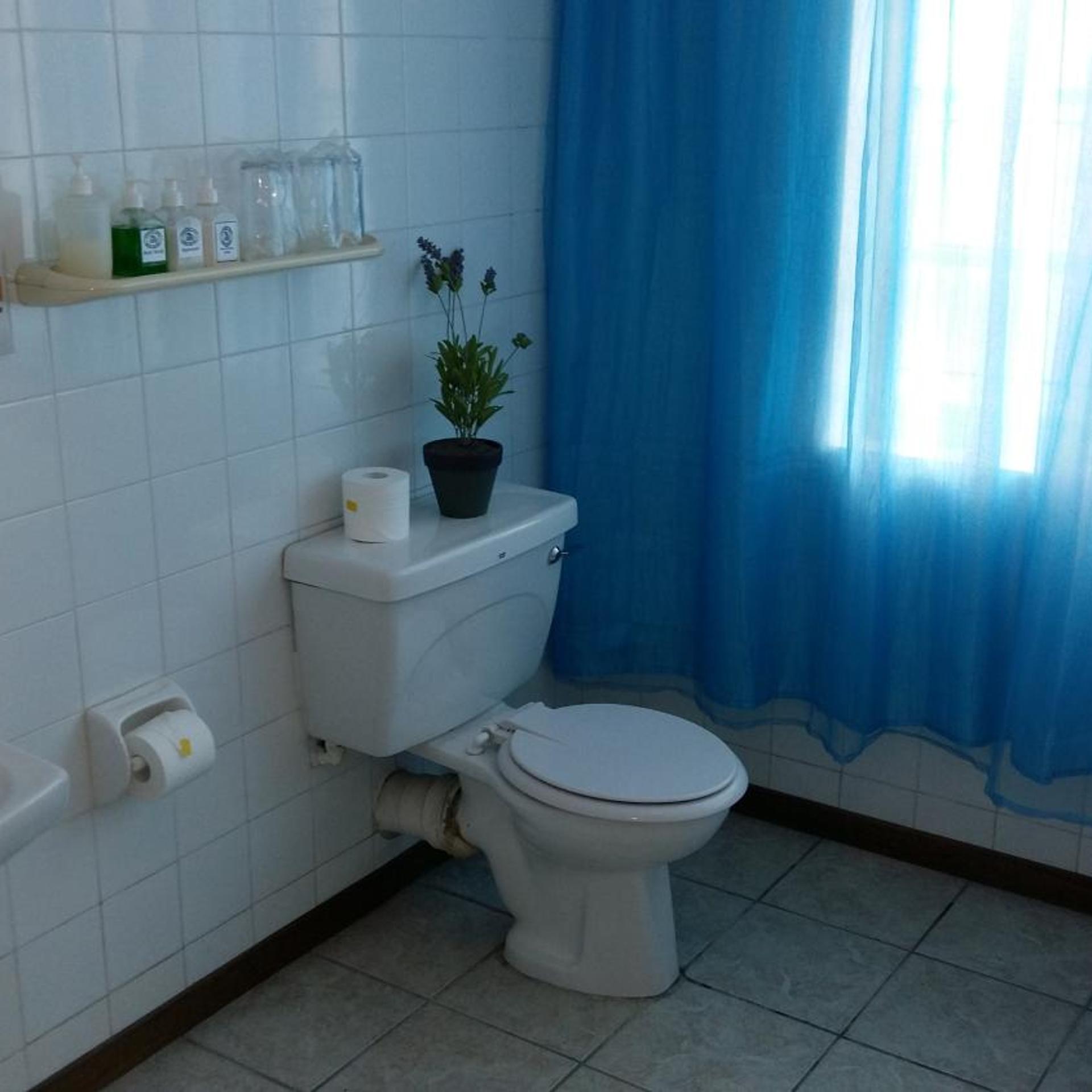 Albertinia Hotel 49/50