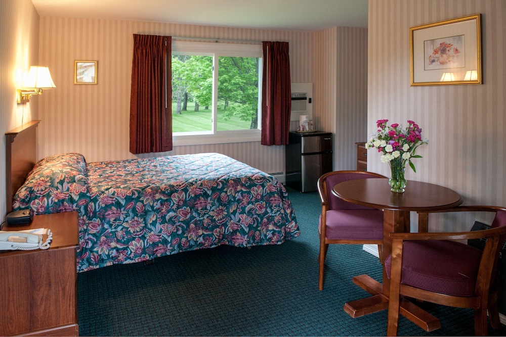 Stowe Motel Snowdrift 3/65