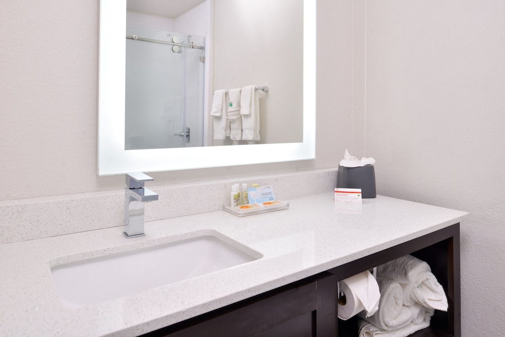 جناح بسرير كينج بغرفة نوم واحدة لذوي الإعاقة، Holiday Inn Express Hotel And Suites Dallas Addison 5/5