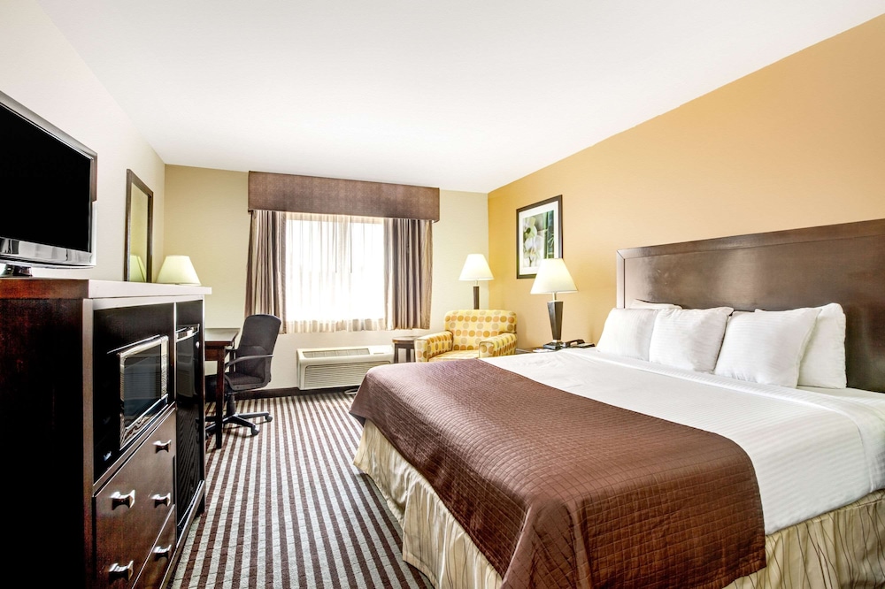 Studio, Suite, King Bed