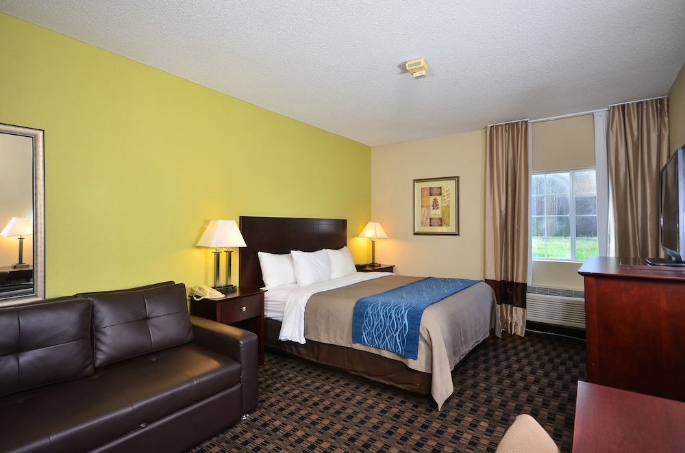 Comfort Inn Decatur Priceville 17/49