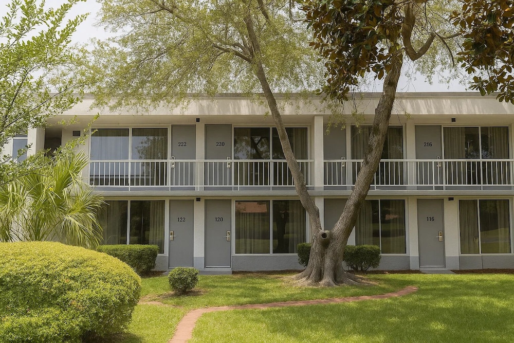 Oneway Savannah 3/50