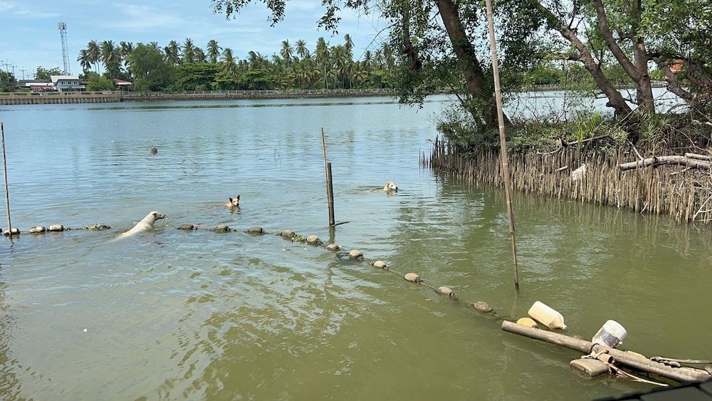Se Sun Amphawa 43/50