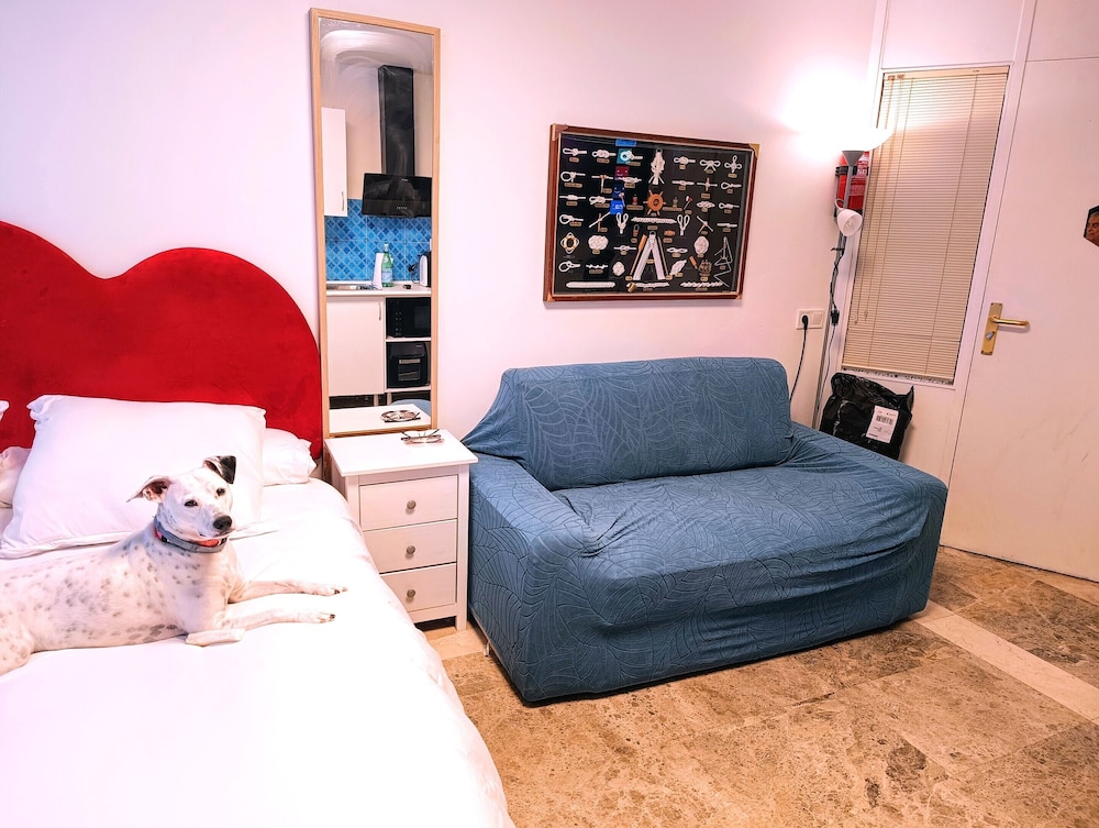 Hostal estudios 24/48