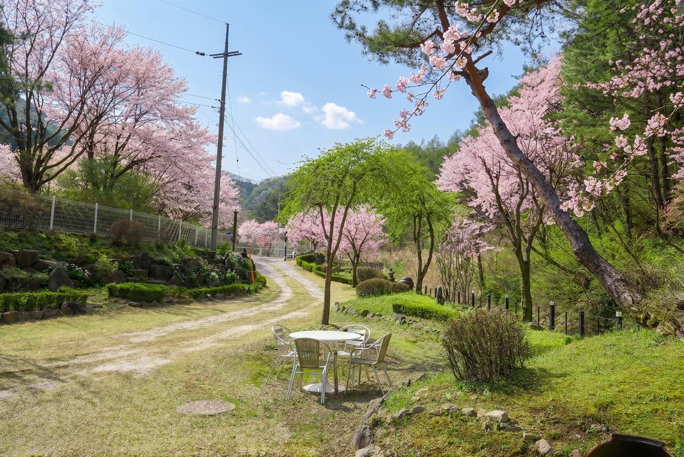 Yangpyeong Dorothy Velly Pension 16/39