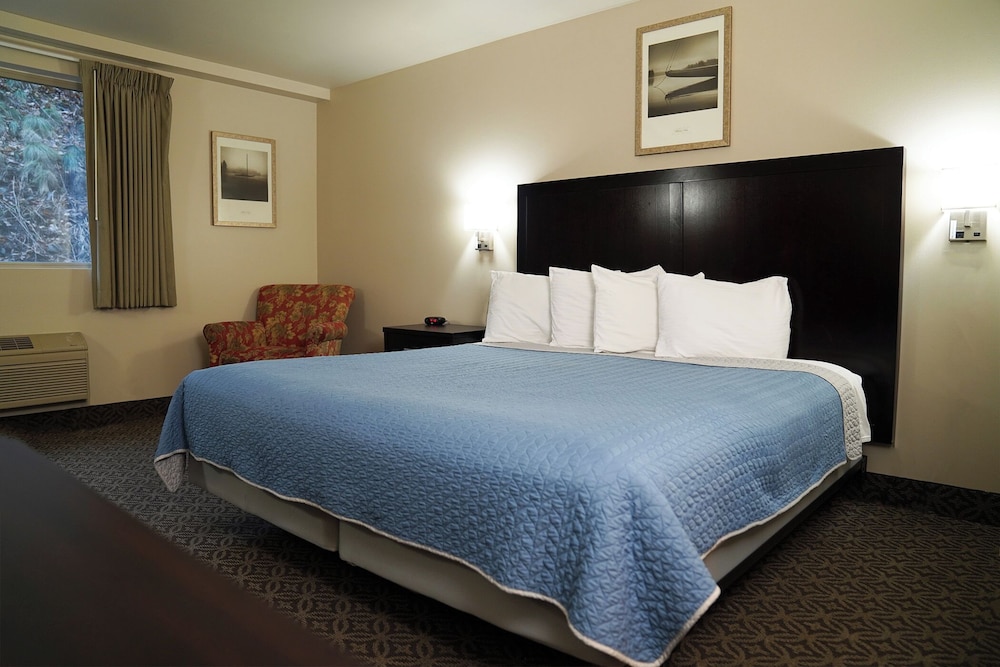 BUSINESS, KING BED