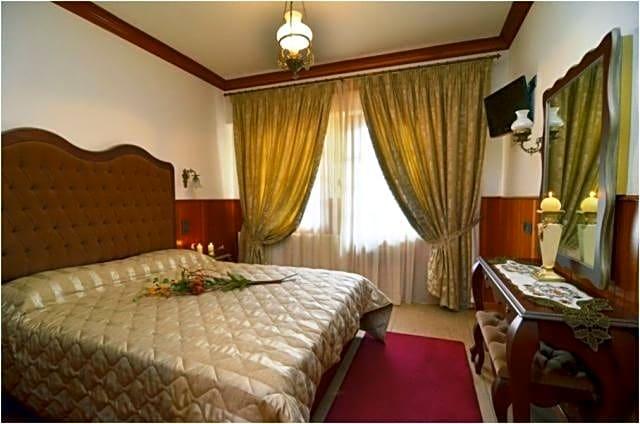 HOTEL APOLLON METSOVO 13/49