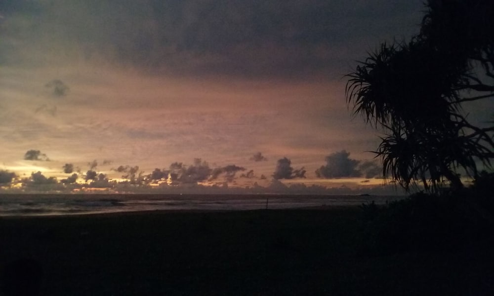 Ocean View 47/50