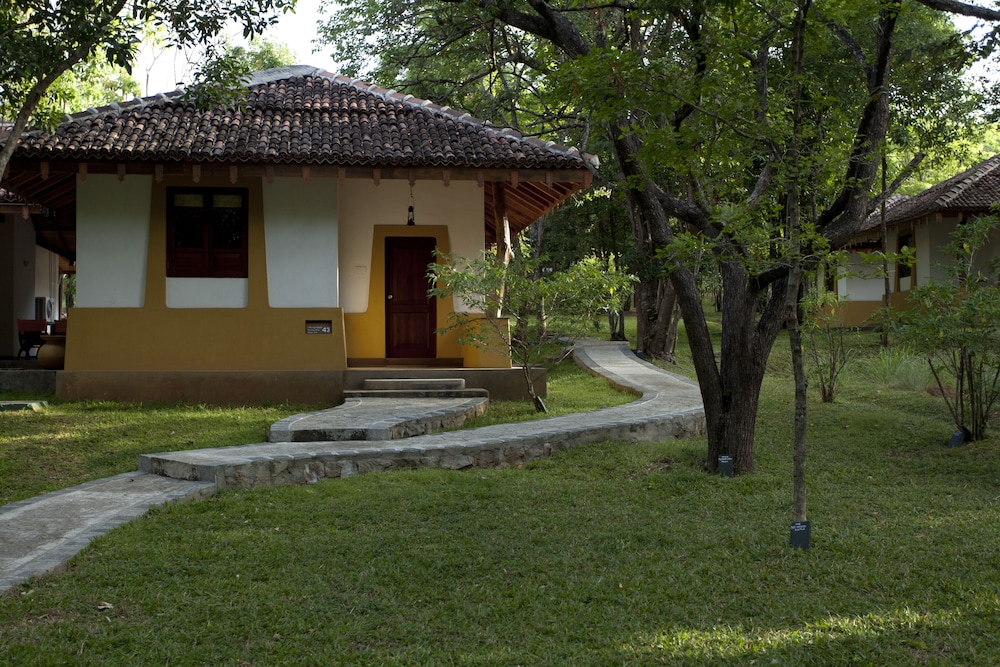 Amaya Lake 30/50