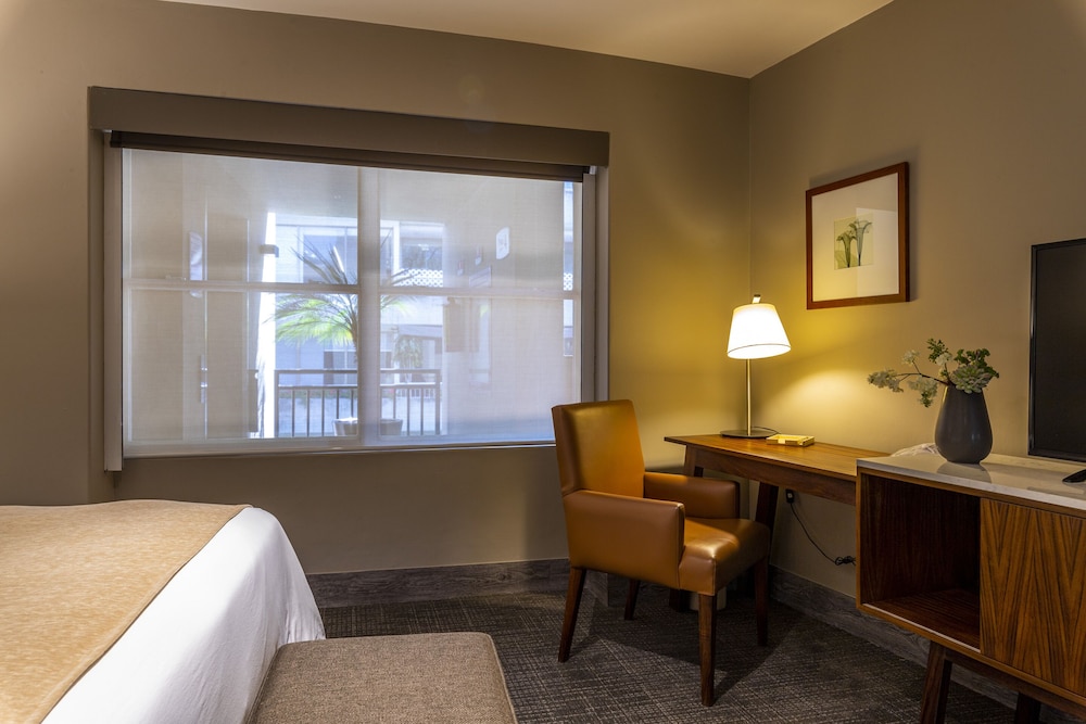 Dominion Polanco Ex Dominion Corporate Suites 48/50