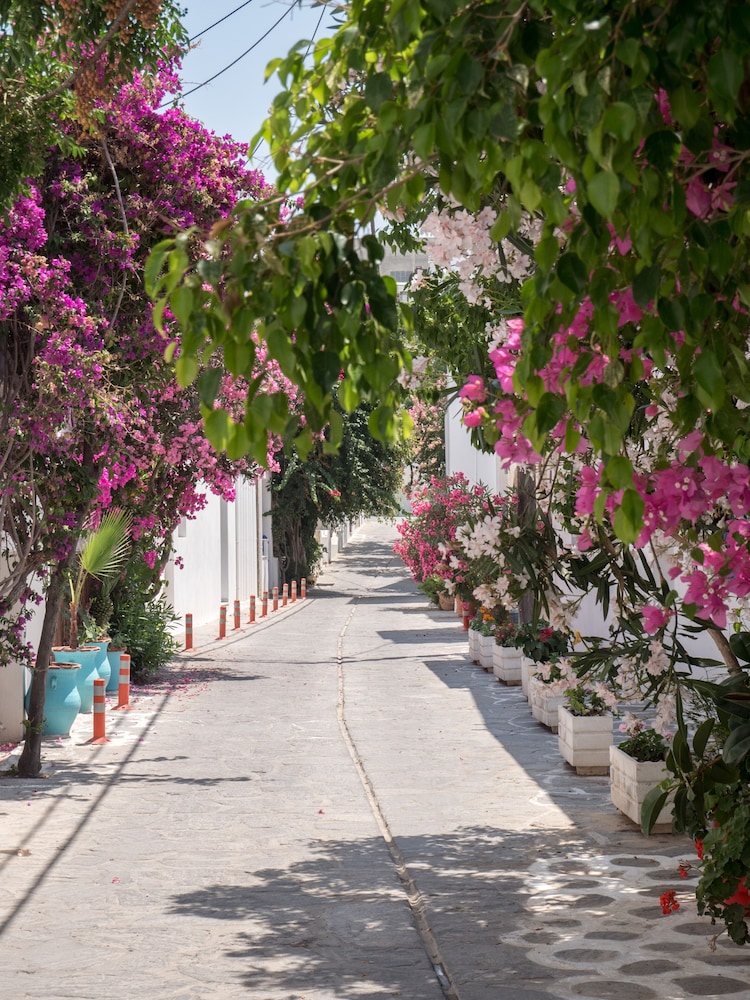 Terra Fos Naxos Studios 36/50