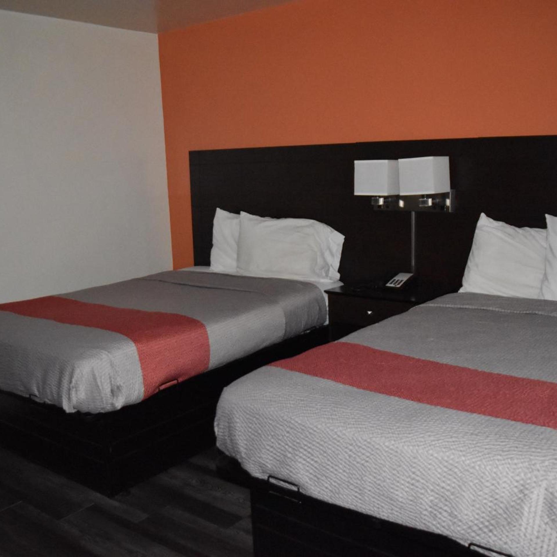 Room, Single Bed