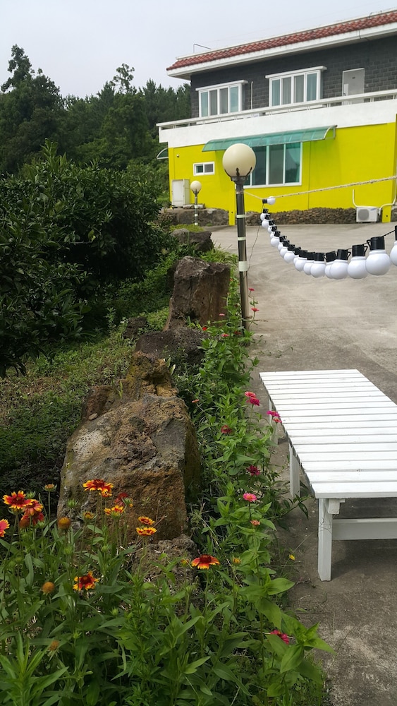 Jeju Meomuri 43/50