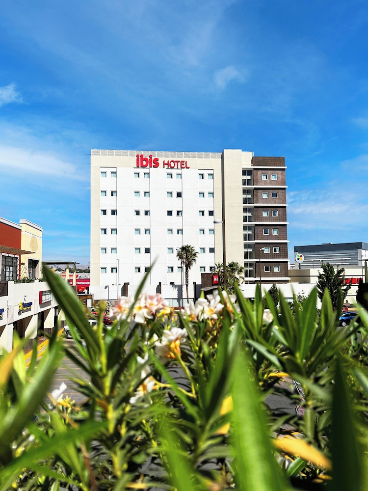 Ibis Chihuahua 3/50
