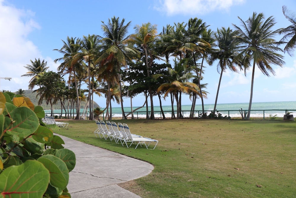 Parador MaunaCaribe 35/50