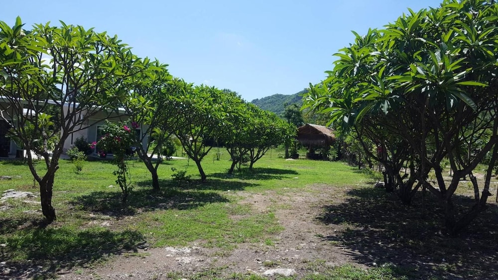 Phurang Hill Resort 31/35