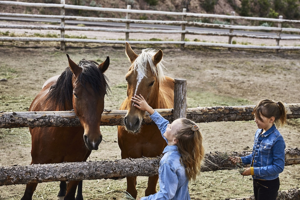 Bishops Lodge Ranch Resort And Spa 80/84